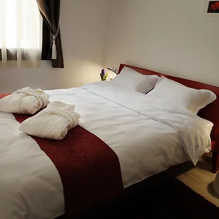 アパートホテル Dominus クルージュ＝ナポカ