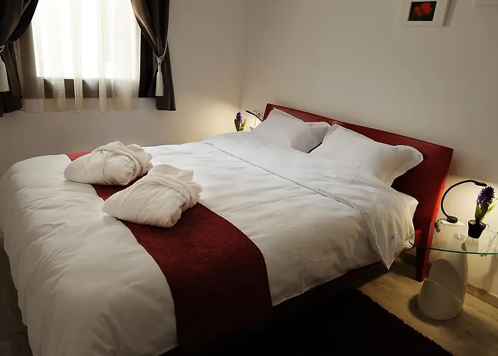Aparthotel Dominus Kluž